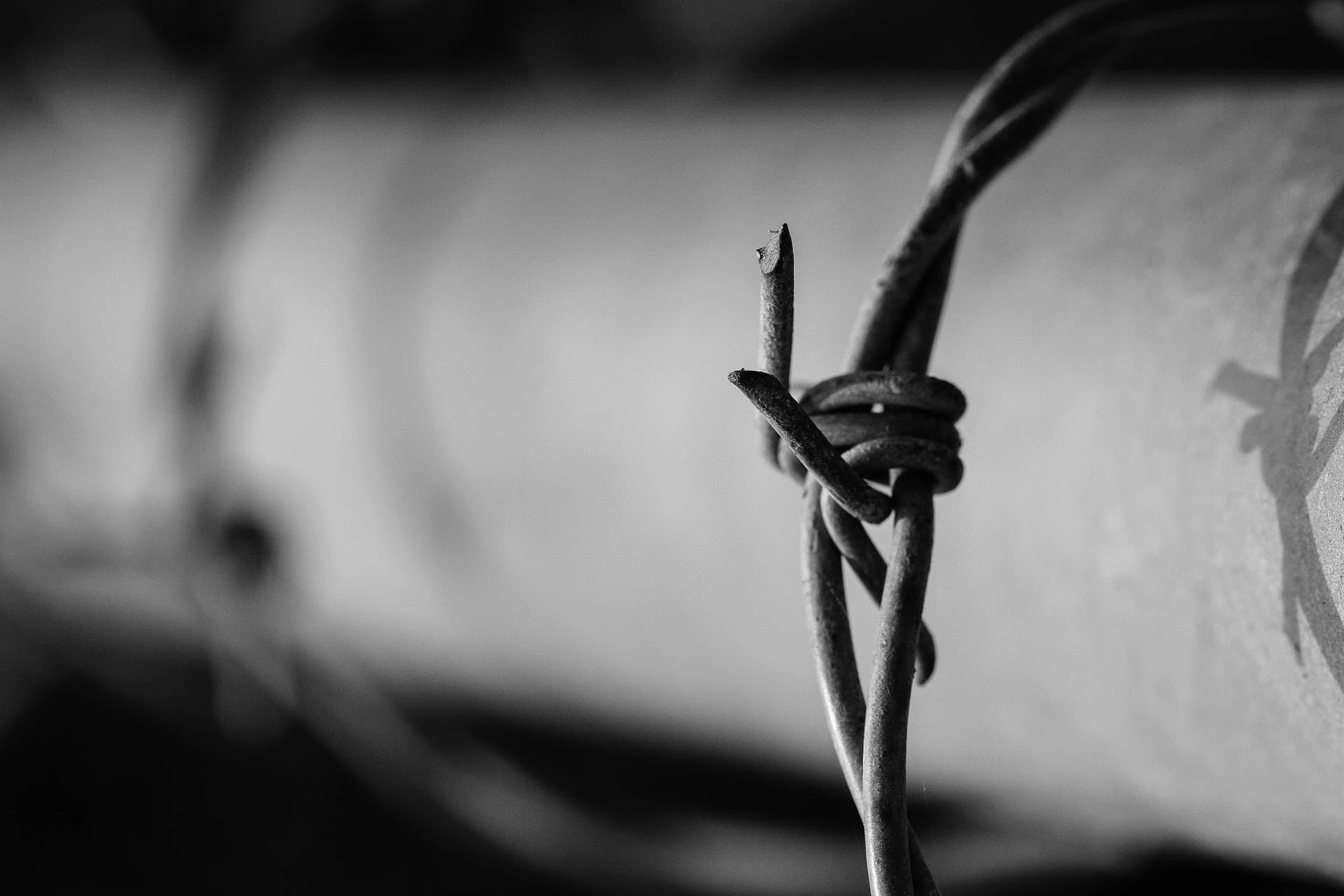 Barbed wire fence.