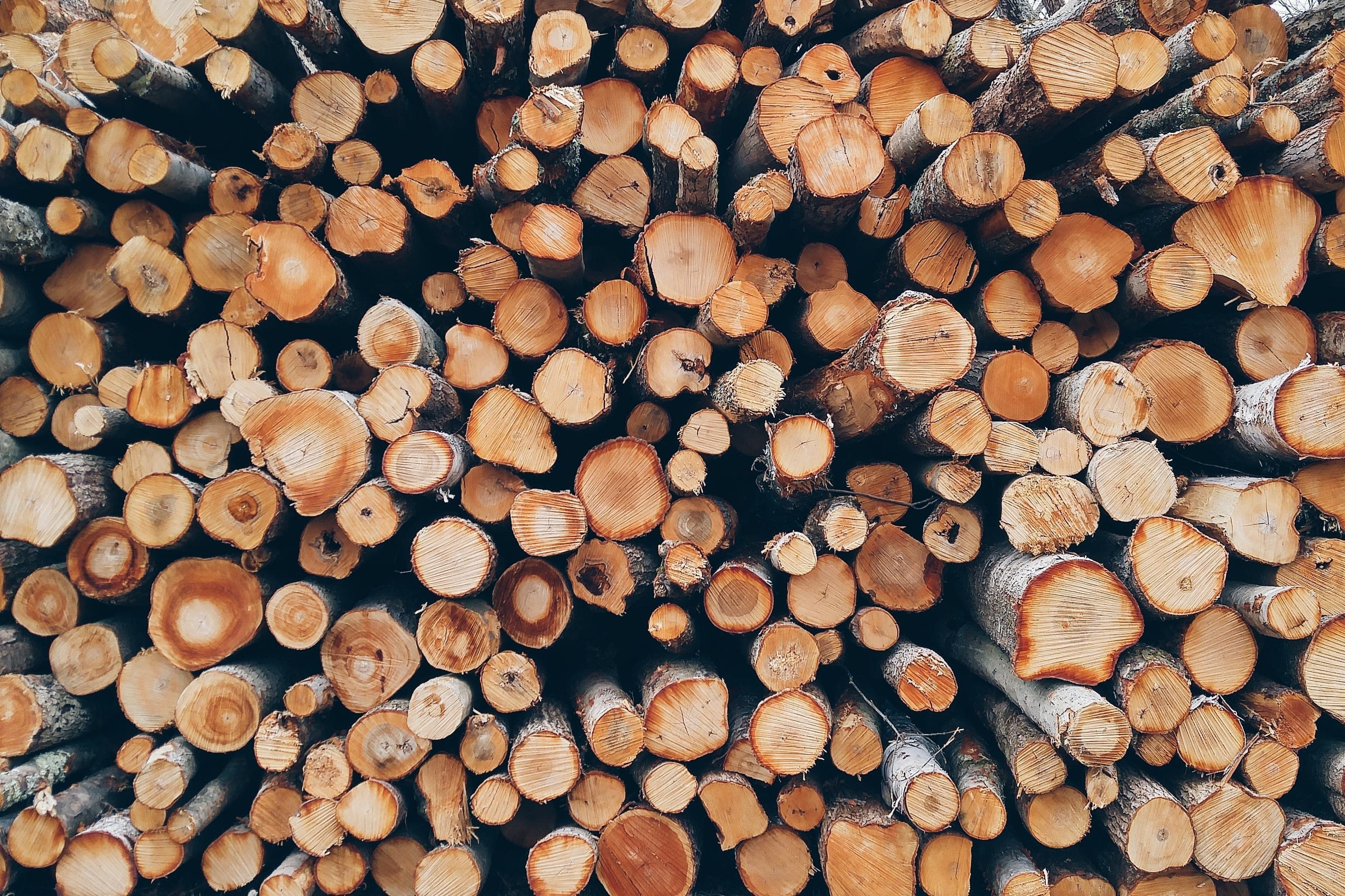 Pieces of wood.